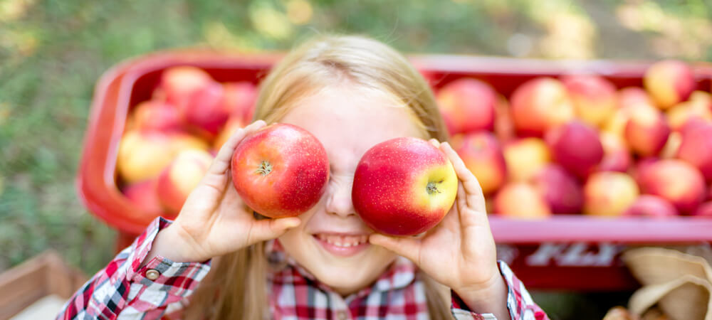 Go Apple Picking at the Best Orchards in the NC Mountains